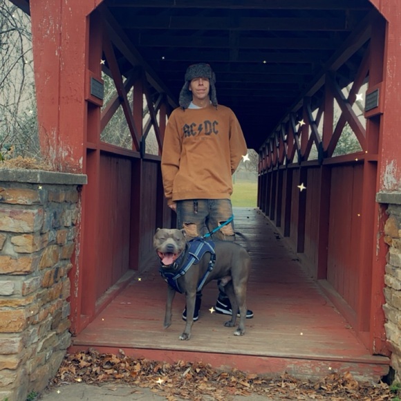 ‼️‼️ LIVE SHOW SCHEDULE ‼️‼️ - Picture 13 of 16